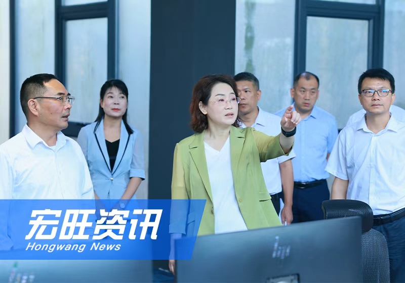 防城港市委书记黄江一行莅临广西宏旺调研